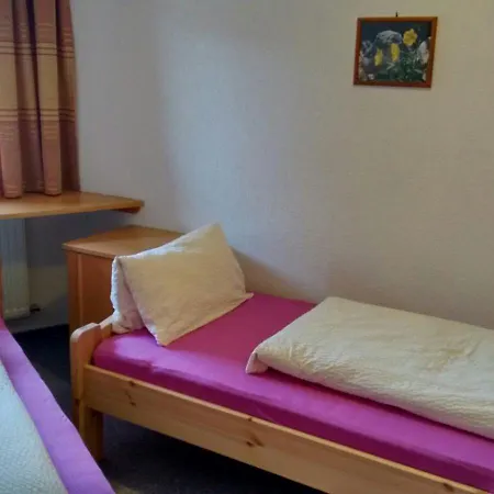 Haus Suedblick شقة