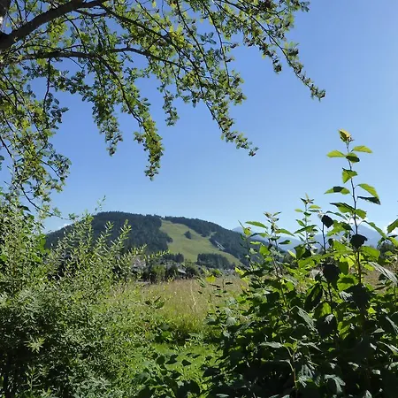 Апартаменты Haus Suedblick